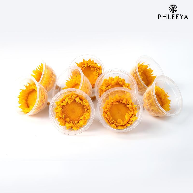 Hoa hướng dương vĩnh cửu 7–8cm 3 bông DIY hoa khô quà tặng (HK-20)