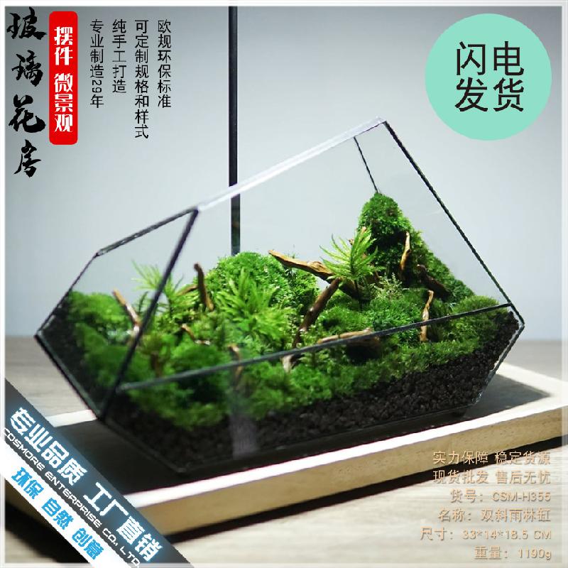 DG-3 Hộp gỗ, hồ nước rừng, thảm thực vật, cảnh quan nhỏ, hình học kính, thủy tinh, hộp che phủ, trang trí nhà cửa