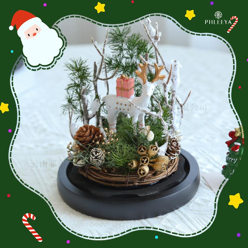 Hoa hồng vĩnh cửu cây thông Noel quà Valentine Thất Tịch (HK-80)
