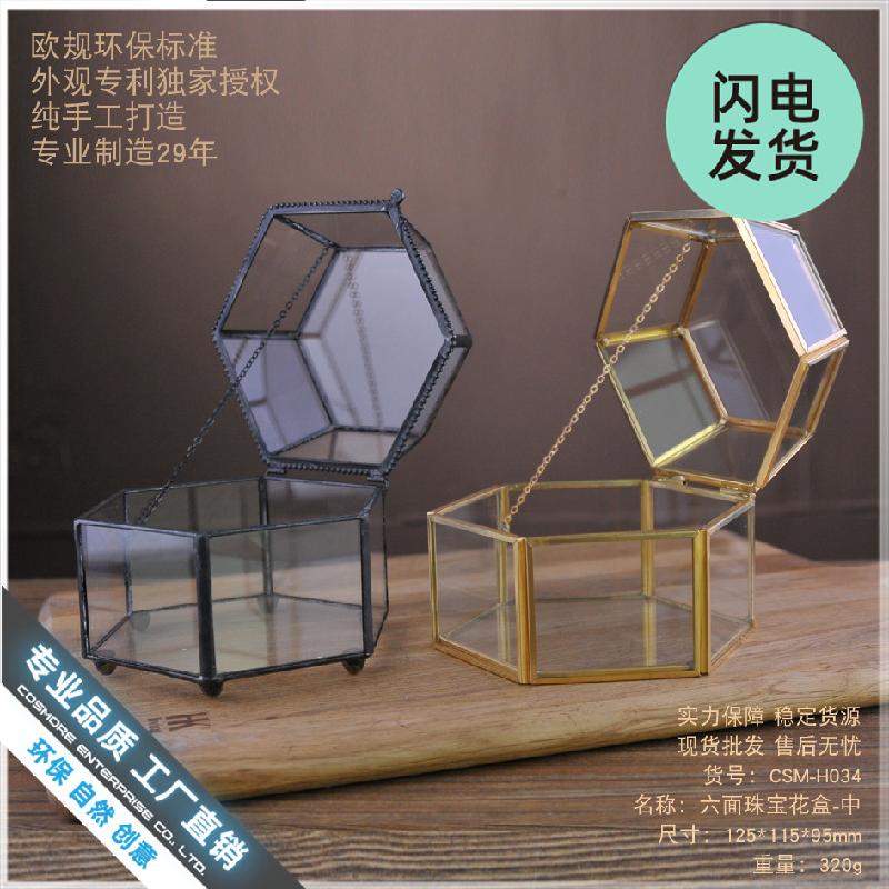 Hộp kính 6 mặt Terrarium sen đá (DG-217)