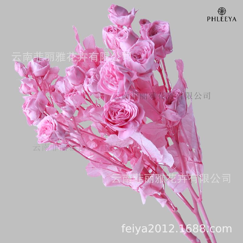 Hoa hồng chùm vĩnh cửu DIY hoa khô làm bó hoa cao cấp (HK-9)