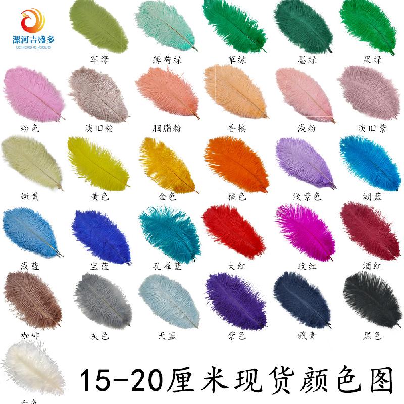 Lông đà điểu trắng từ 15-80cm, lý tưởng cho trang trí sân khấu và sự kiện. Cung cấp số lượng lớn cho đám cưới và DIY. Sẵn có hàng, mua bán buôn.