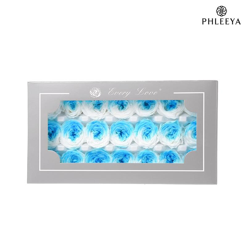 Hoa hồng Austin vĩnh cửu 2–3cm Chocolate Bubble DIY hoa khô (HK-15)