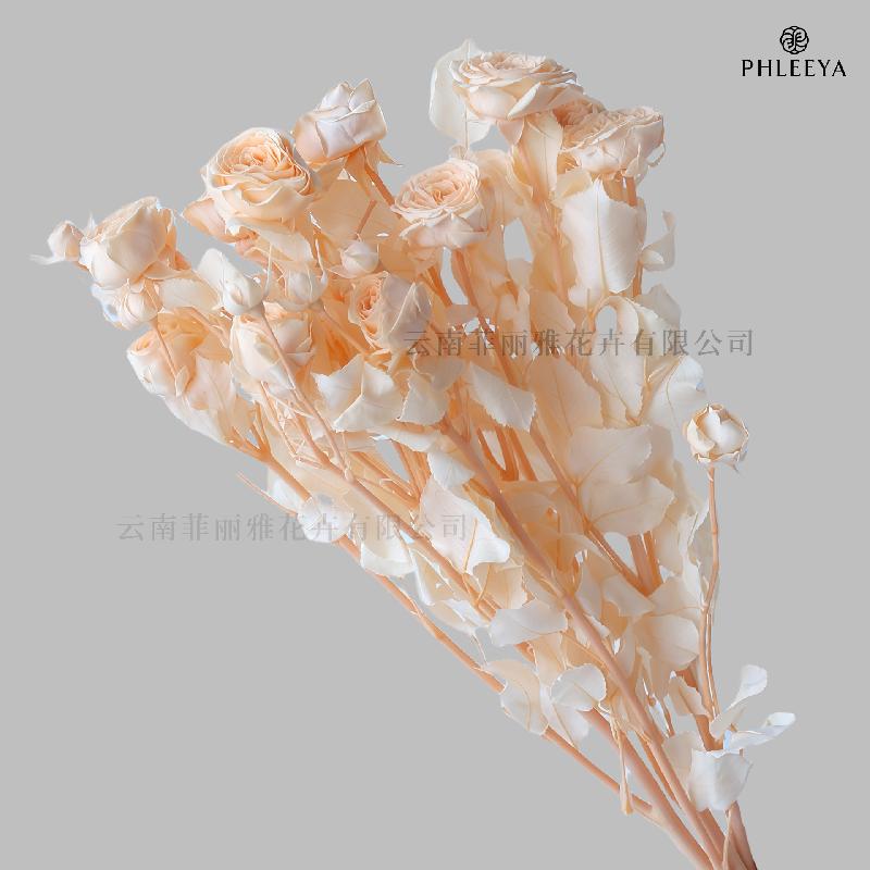 Hoa hồng chùm vĩnh cửu DIY hoa khô làm bó hoa cao cấp (HK-9)