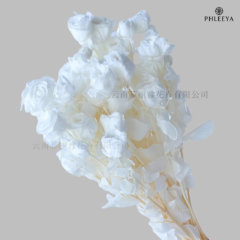 Hoa hồng chùm vĩnh cửu DIY hoa khô làm bó hoa cao cấp (HK-9)