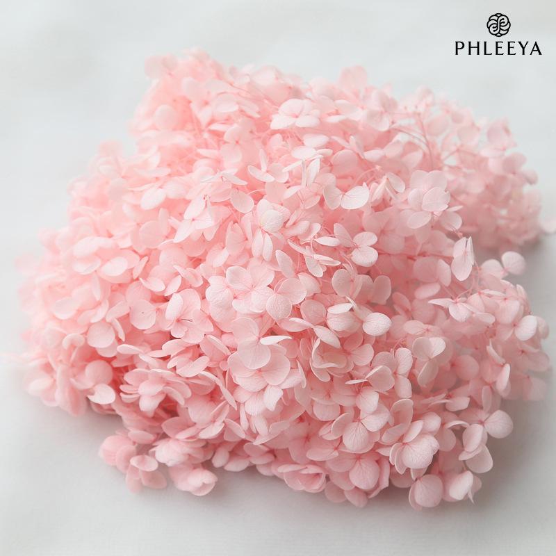 Cẩm tú cầu Anna vĩnh cửu 20g DIY hoa khô trang trí (HK-32)