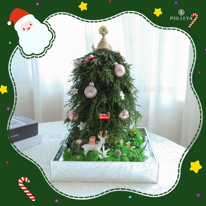 Hoa hồng vĩnh cửu cây thông Noel quà Valentine Thất Tịch (HK-80)