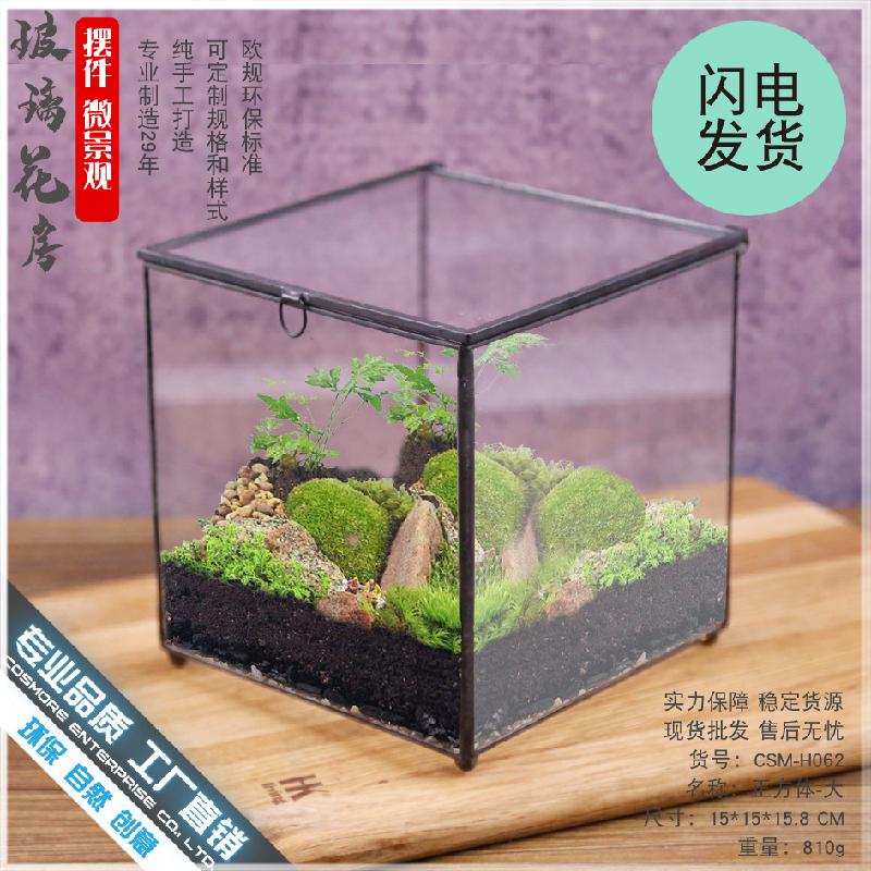 Chậu Đa Giác DG-12 Hộp quà thủy tinh với nhà hoa kính lớn và cây cỏ đông cứu