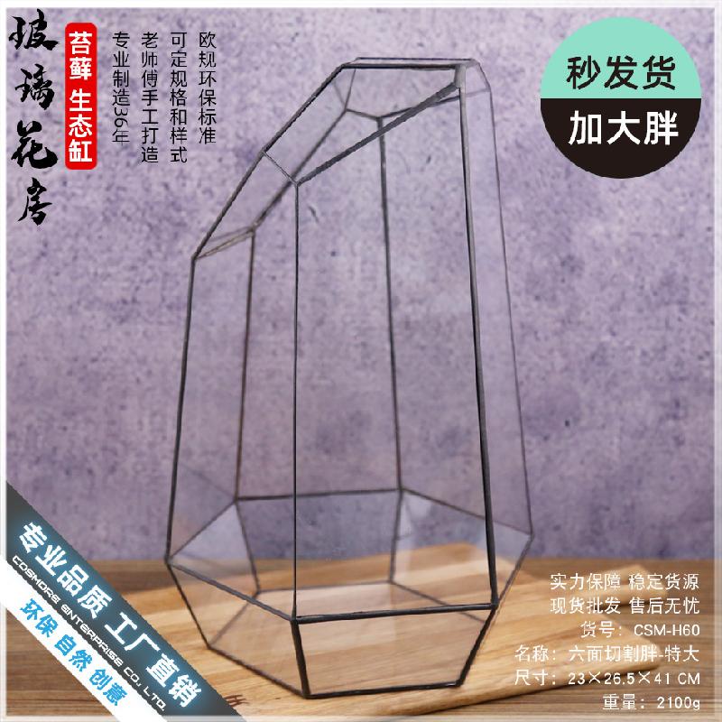 Nhà kính 6 mặt cắt lớn Terrarium (DG-233)