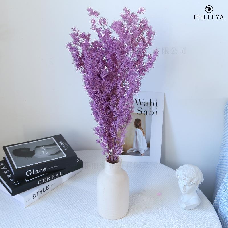 Lá tùng Bồng Lai vĩnh cửu DIY hoa khô cắm bình lồng kính (HK-43)