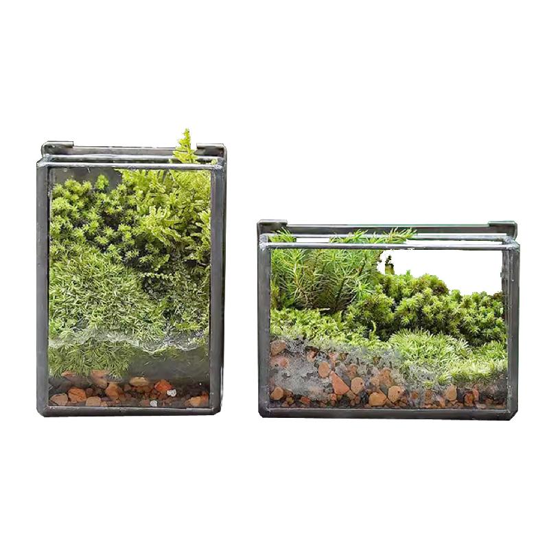 植觉苔藓植物微景观玻璃盒子微缩造景生态瓶桌面盆栽家居摆件花盆