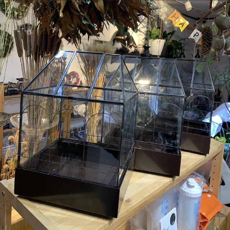 Bình kính Terrarium hình học đặt bàn (DG-83)