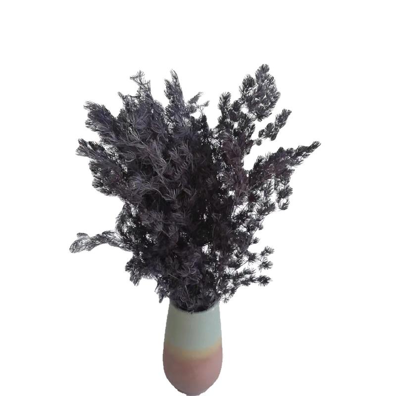 FY-41
