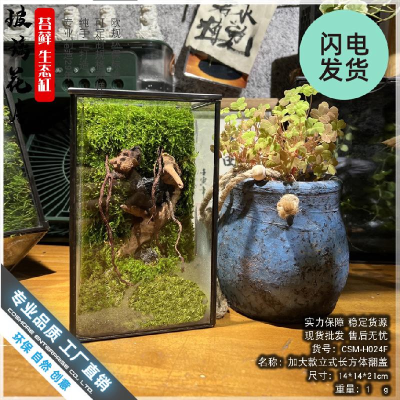 Bình Terrarium rêu cảnh DIY (DG-8)