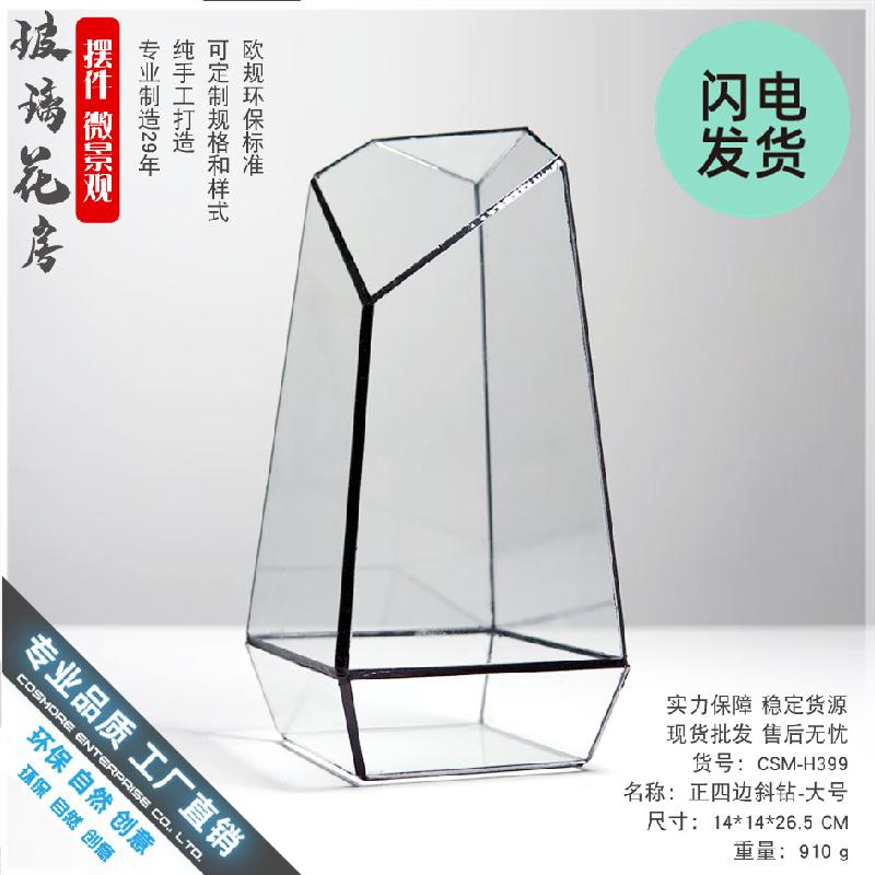 Bình sinh thái cây xanh mini (DG-10)