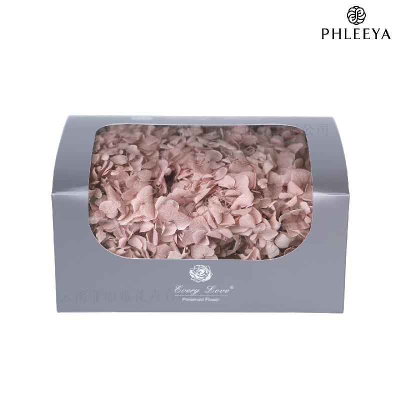 Cẩm tú cầu Anna vĩnh cửu 20g DIY hoa khô trang trí (HK-32)