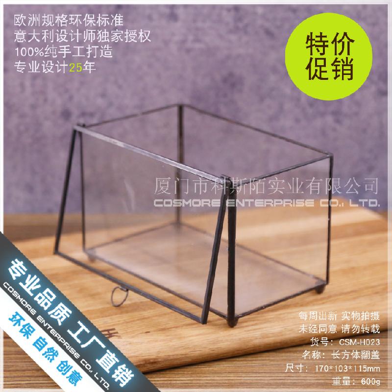 Hộp kính sinh thái cây mini (DG-29)
