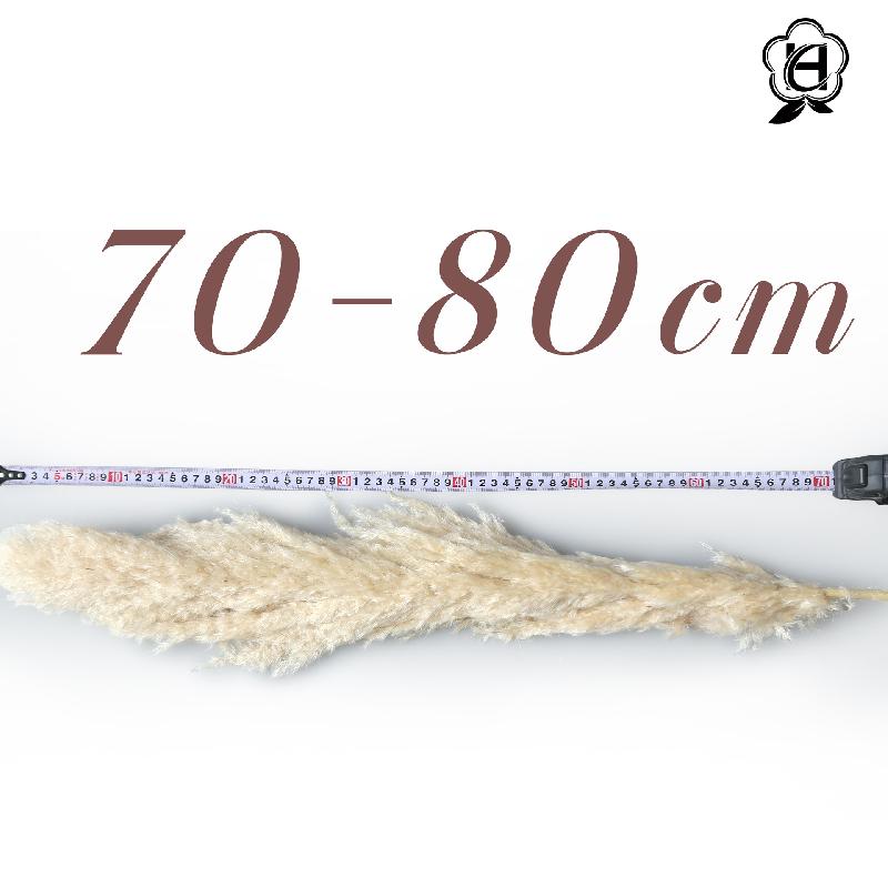 Cỏ lau Pampas khô bó hoa trang trí cưới phong cách châu Âu (HK-61)