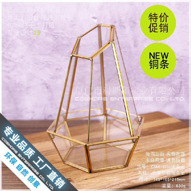Nhà kính 6 mặt cắt, Terrarium rêu cảnh (DG-167)