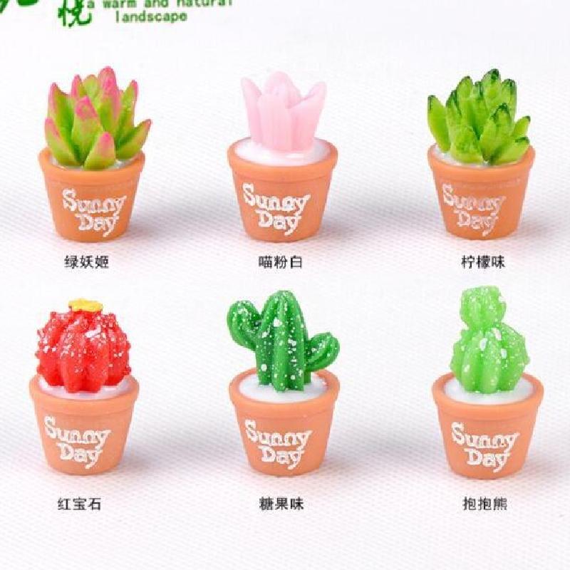 Tiểu cảnh đa dạng cây mọng nước, trang trí cây cảnh DIY (ZC-445)