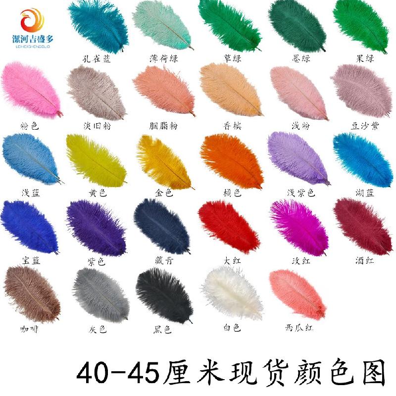 Lông đà điểu trắng từ 15-80cm, lý tưởng cho trang trí sân khấu và sự kiện. Cung cấp số lượng lớn cho đám cưới và DIY. Sẵn có hàng, mua bán buôn.