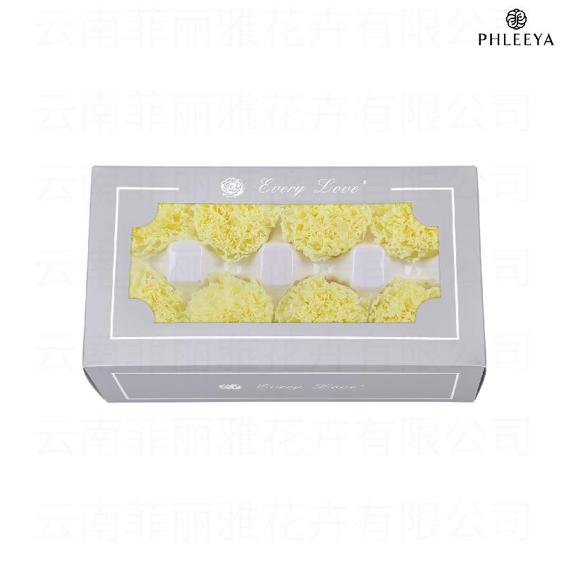 Hoa cẩm chướng vĩnh cửu 8 bông DIY quà Ngày của Mẹ (HK-30)