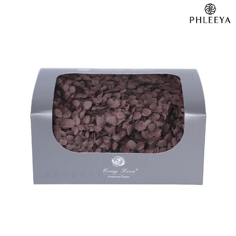 Cẩm tú cầu Anna vĩnh cửu 20g DIY hoa khô trang trí (HK-32)