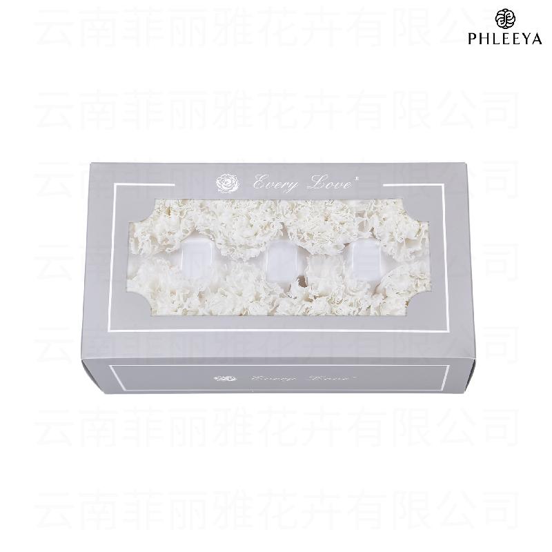Hoa cẩm chướng vĩnh cửu 8 bông DIY quà Ngày của Mẹ (HK-30)