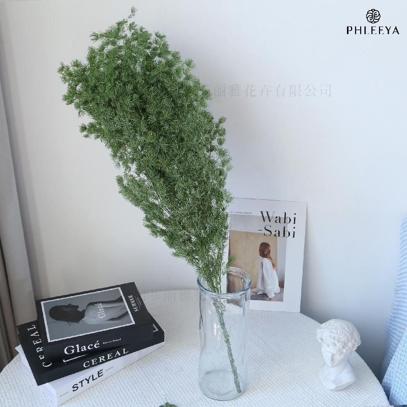 Lá tùng Bồng Lai vĩnh cửu DIY hoa khô cắm bình lồng kính (HK-43)