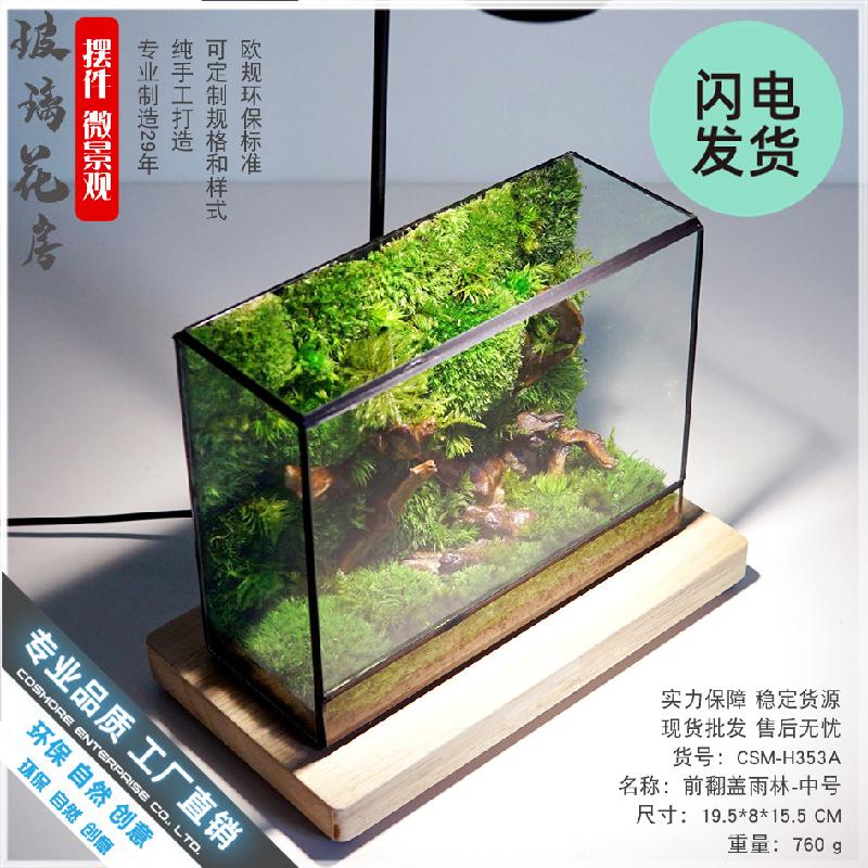 Bể rêu cảnh hệ sinh thái để bàn (DG-6)