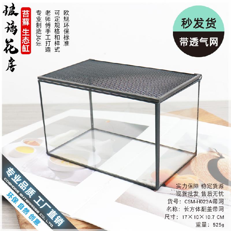 Bình sinh thái rêu cảnh mini (DG-3)