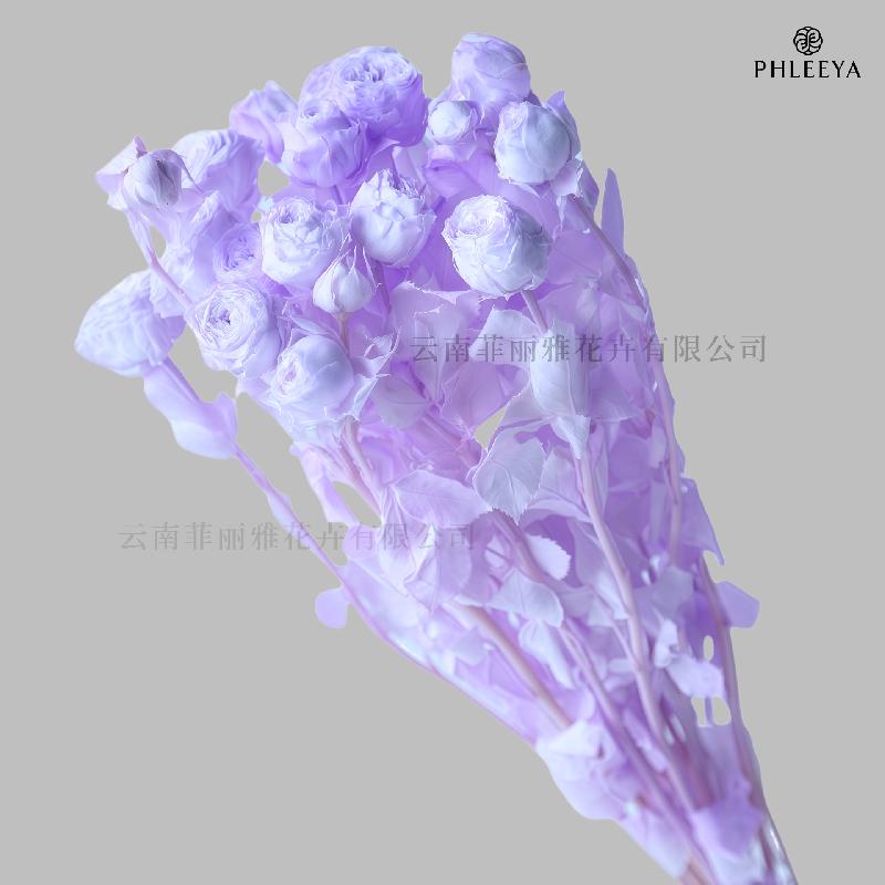 Hoa hồng chùm vĩnh cửu DIY hoa khô làm bó hoa cao cấp (HK-9)