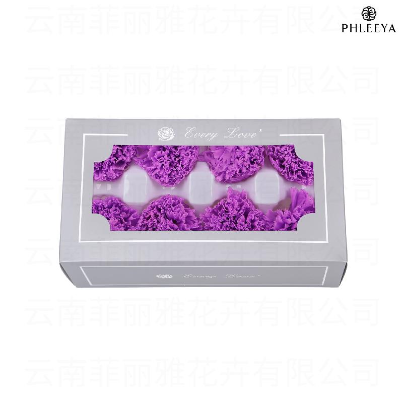 Hoa cẩm chướng vĩnh cửu 8 bông DIY quà Ngày của Mẹ (HK-30)