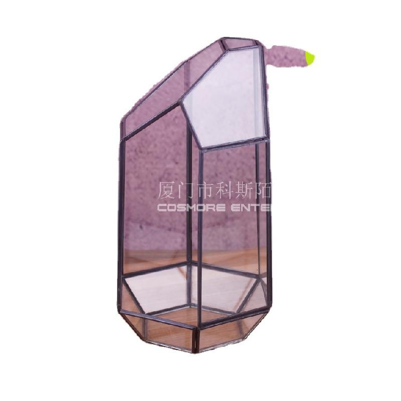 DG-224 Cắt bằng 6 mặt thanh đồng, phòng hoa kính B, hoa thịnh vượng, thảo mộc, cảnh quan nhỏ, trong suốt, sáng tạo, hộp cây đa thực vật bán sỉ