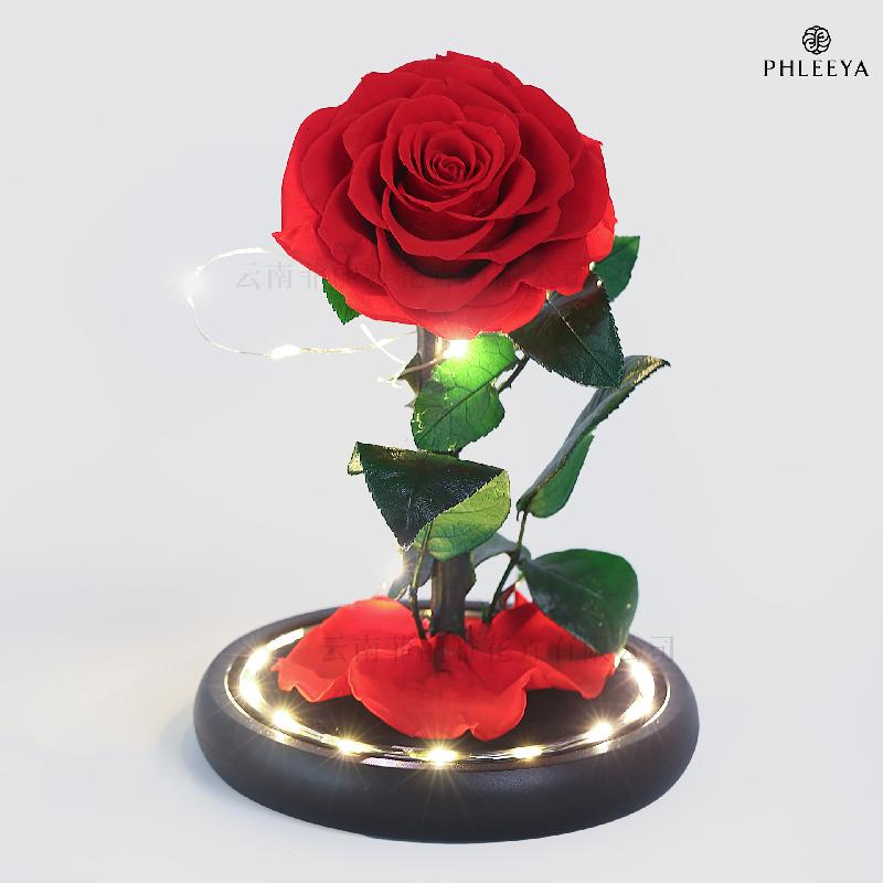 Hoa hồng vĩnh cửu hộp mica Hoàng tử bé quà Thất Tịch Valentine (HK-42)