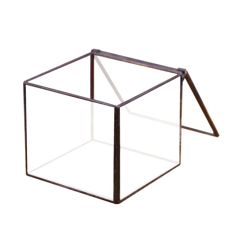 DG-21 Hộp nhỏ cảnh quan của thực vật mọc mịn