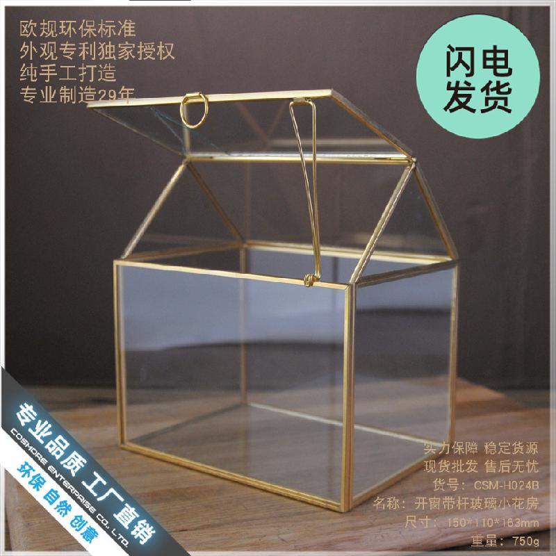 Nhà kính cửa sổ viền vàng, tiểu cảnh rêu (DG-69)