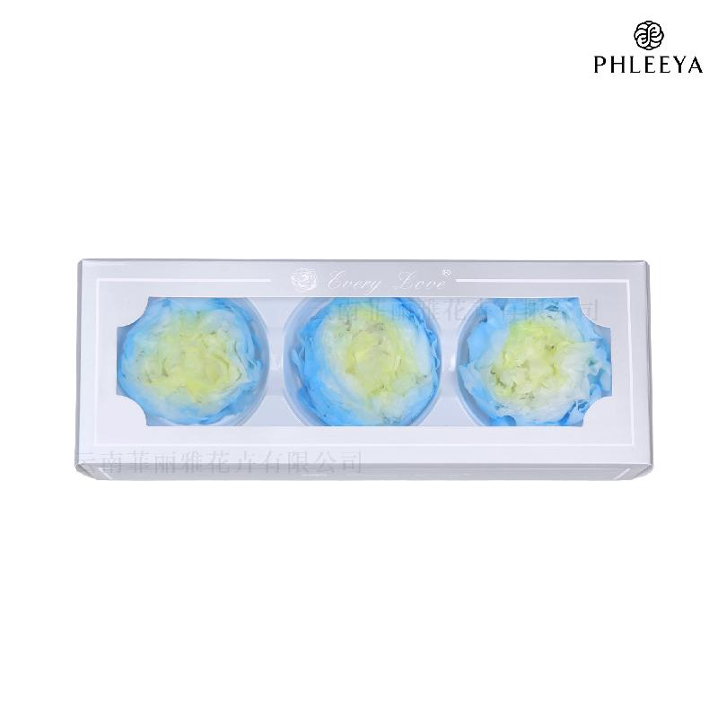 Hoa mẫu đơn vĩnh cửu 7–8cm 3 bông hạng A DIY hoa trang trí (HK-24)