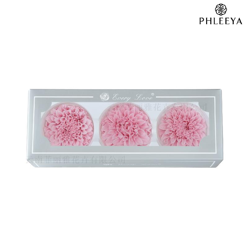 Hoa thược dược vĩnh cửu 7–8cm chuyển màu DIY hoa trang trí cưới (HK-21)