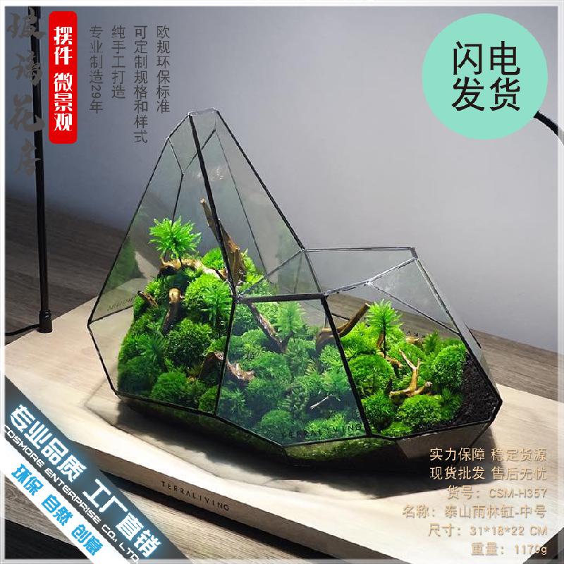 DG-6 Các cảnh quan nhỏ, rừng mây tảo, hình học rừng, tường kính, phòng hoa không đều, chai sinh thái không đều, các hộp cây thực vật nhiều thịt, các hộp cây cỏ nước và các bình hoa