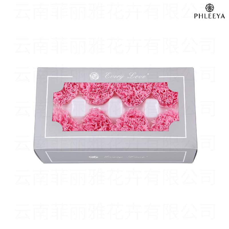 Hoa cẩm chướng vĩnh cửu 8 bông DIY quà Ngày của Mẹ (HK-30)