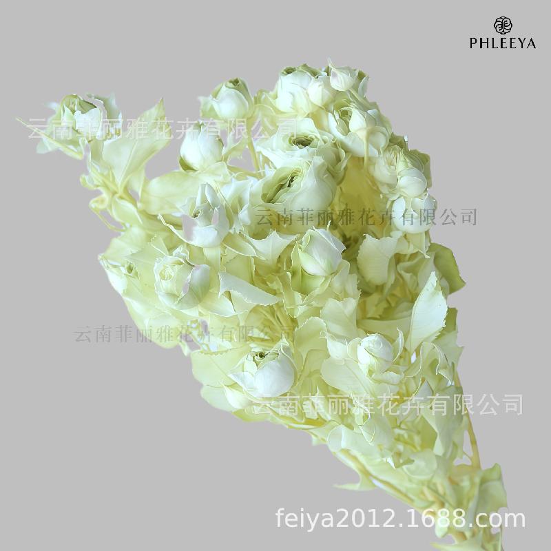Hoa hồng chùm vĩnh cửu DIY hoa khô làm bó hoa cao cấp (HK-9)