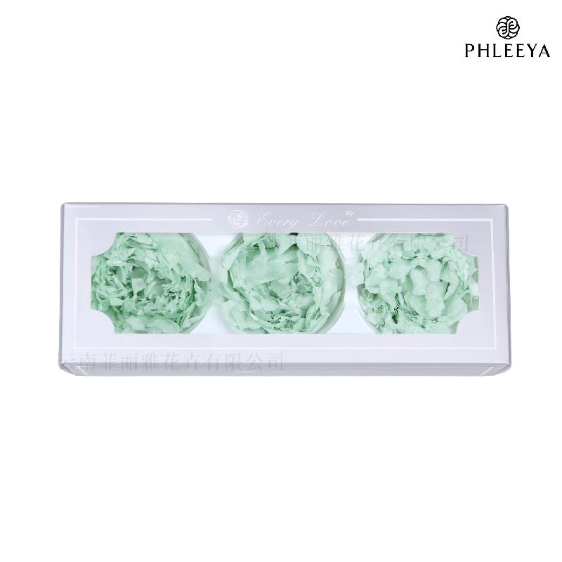 Hoa mẫu đơn vĩnh cửu 7–8cm 3 bông hạng A DIY hoa trang trí (HK-24)