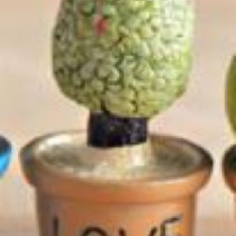 Tiểu cảnh chậu xương rồng nhỏ, trang trí bàn làm việc mini (ZC-333)