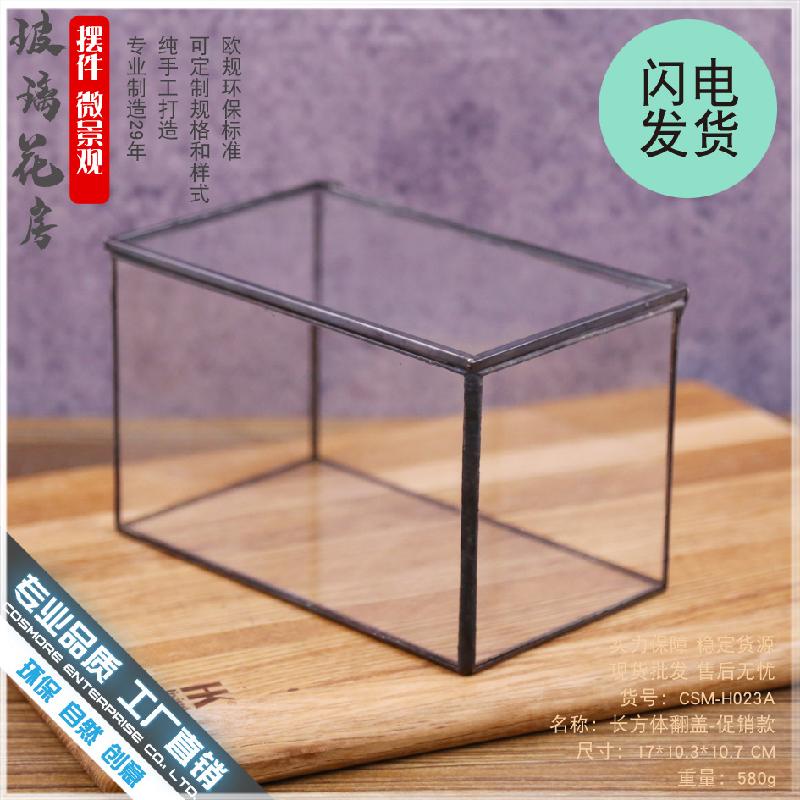 DG-9 Hộp nhỏ cảnh quan sinh thái bọt xanh tím