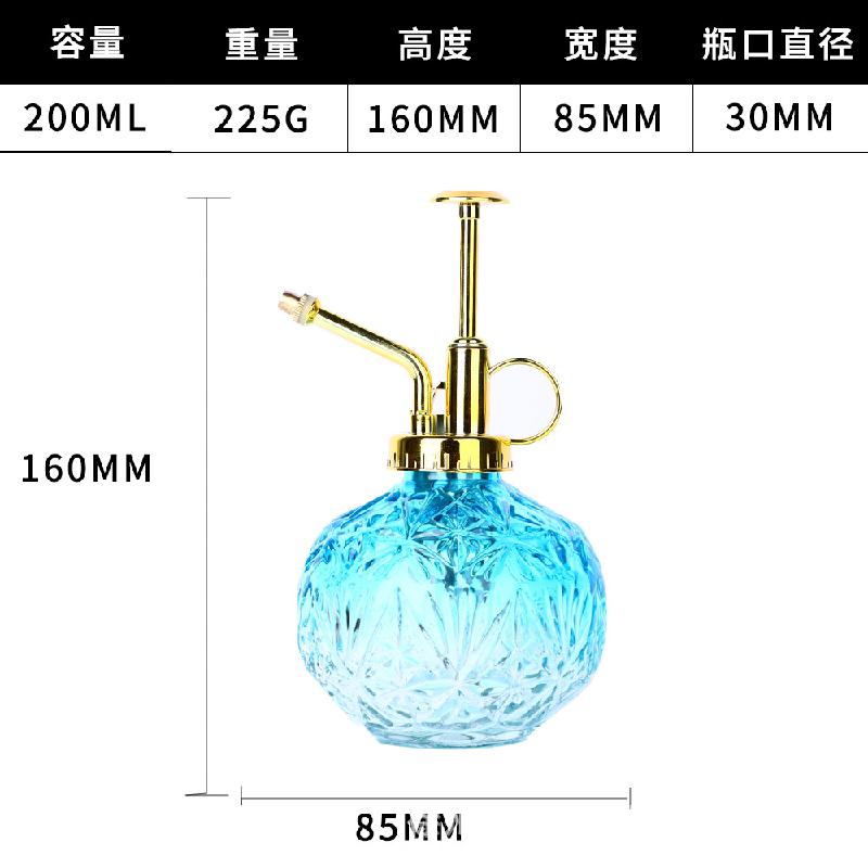 金头+蓝色
