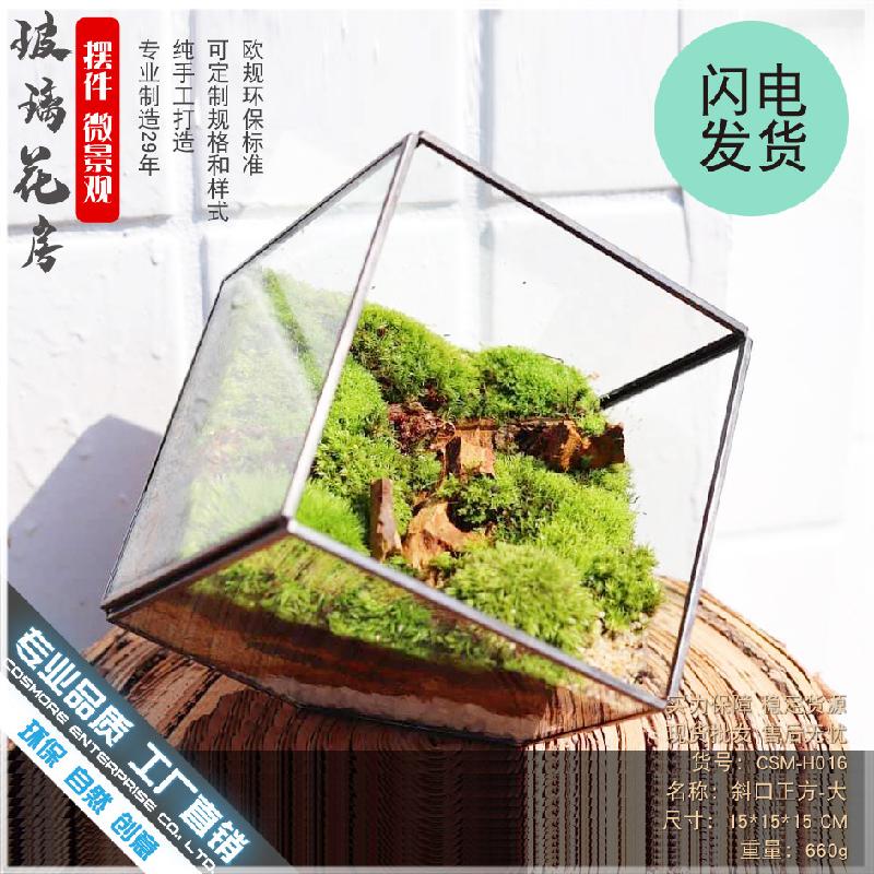 Chậu Đa Giác DG-91 Nhà máy Xiamen bán trực tiếp phòng kính chữ nhật lớn, thiết kế sáng tạo, hoa tái sinh vĩnh cửu, thảm thực vật nhỏ, cảnh quan đa thực vật và chén hoa đa thực vật