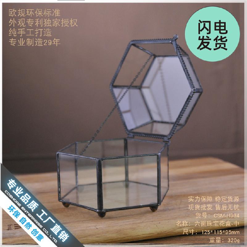 Hộp kính 6 mặt Terrarium sen đá (DG-217)