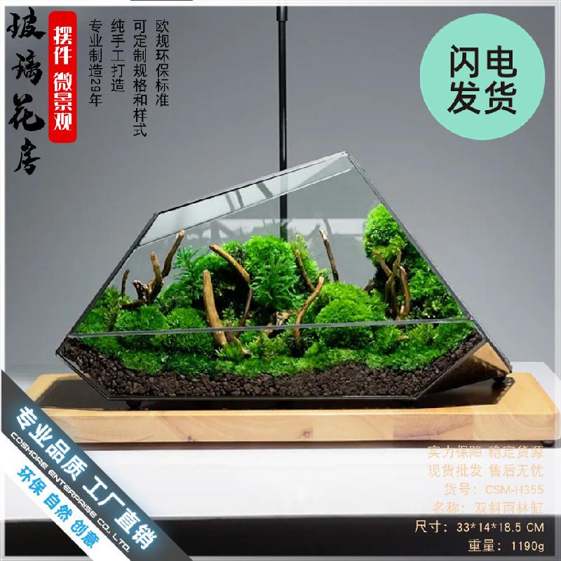 Nhà kính mini tạo cảnh rừng mưa (DG-2)