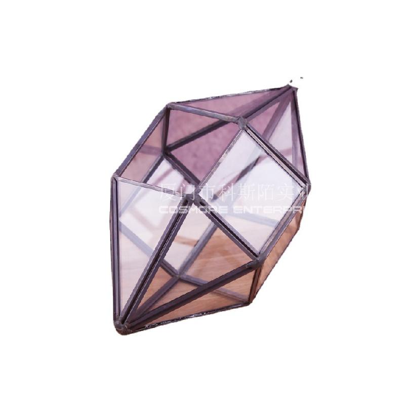 DG-240 Cặp đôi kim cương sáu mặt, cây thực vật nhiều thịt, cảnh quan nhỏ từ thảo mộc, không định hình, hộp hoa bền vững kính lớn